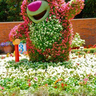 Рафтове във формата на мечка