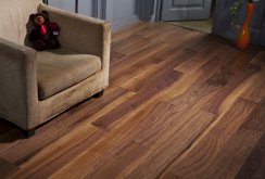 American walnut laminate