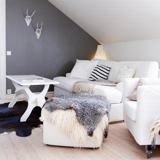 Каша с кожа в минималистичен интериор