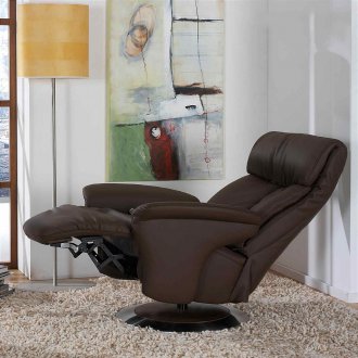 안락 의자 가죽 의자