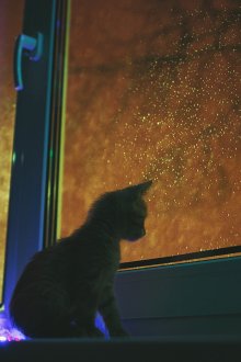 LED гирлянда на прозореца