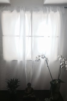 Декора с гипс в хола