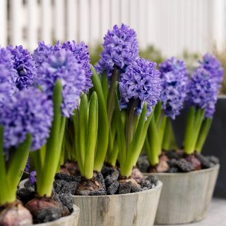 Дървен селски душ