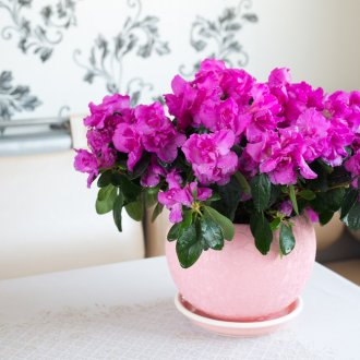 Съветски мебели в кухнята