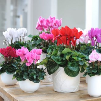 Гипсов декоративен камък в интериора на хола