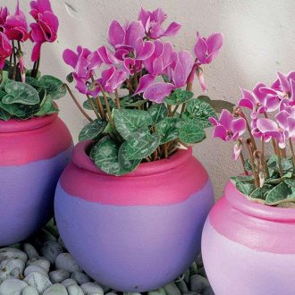 Светещи саксии за цветя