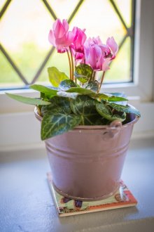 Персийски килим, изработен от вълна