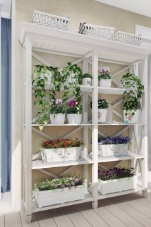 Декорация на балкона с живи растения