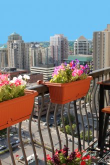 Цветята са идеални за декориране на балкон