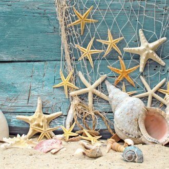 Морски декор с черупки