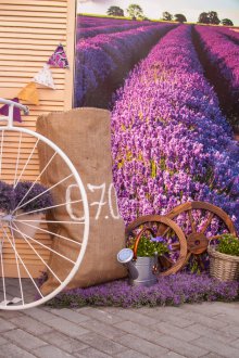 Balloon Decoration Wedding