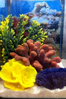 Декор за аквариум с камъни и корали