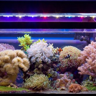 Морски декор, изработен от камъни