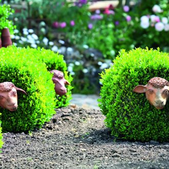 Декорни храсти в градината