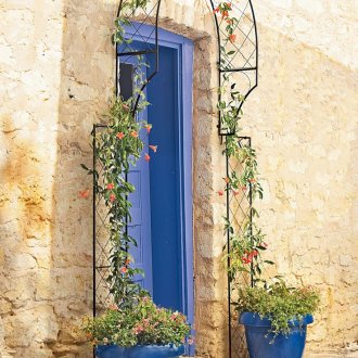 Арка от пълзящи в градината