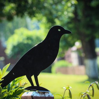 Градинска гарванска фигура, изработена от метал
