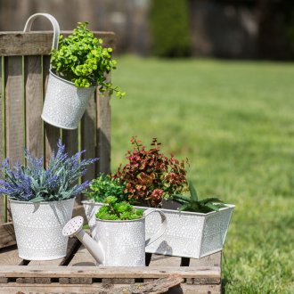 Метална саксия за градина за градината