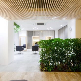 Фитодизайн на интериора