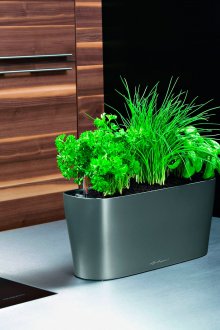 Зелени в интериора на кухнята