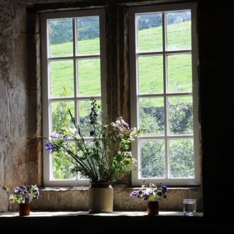 Японска дюля пред къщата