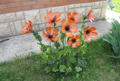 Plastic Bottle Flowers