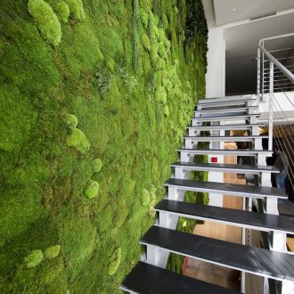 Вертикално градинарство с мъх