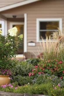 Цветно легло в саксии за цветя