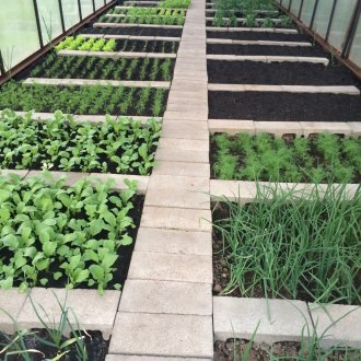 Легла в оранжерията