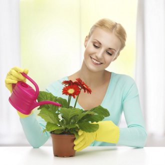 Menyiram bunga dalaman dengan air mineral