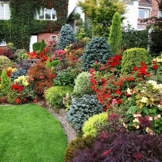 Цветно легло с вечнозелени растения