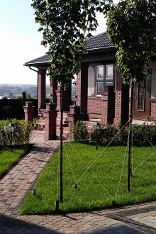 Planting a garden tradescant