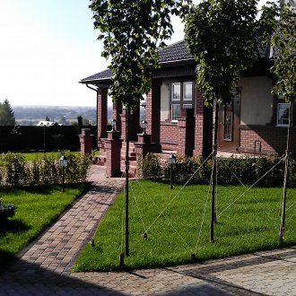 Planting trees in the garden