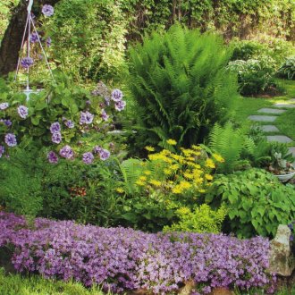 Многогодишен миксборд