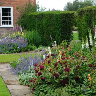 Mixborder от устойчиви на замръзване растения