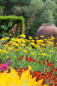 Годишна растителна смес