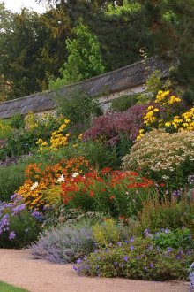 Wildflowers Mixborder