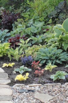 Градински чай миксборд