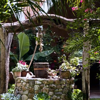 Добре с екзотични растения