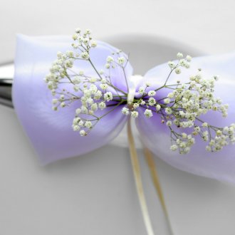 Лентов лента