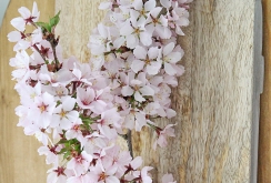 Wooden chopping boards