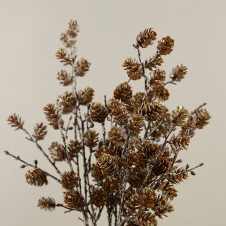 Дърво с шишарки в интериора