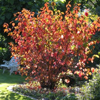 Derain през есента