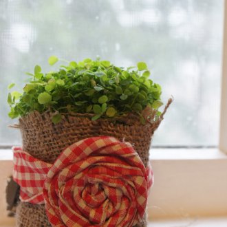 Саксия за цветя с резба