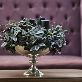 Състав от tradescantia