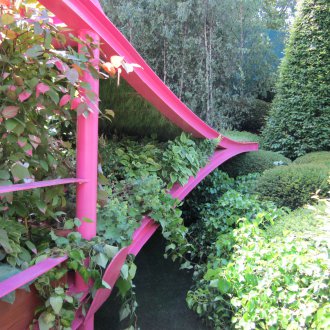 성장하는 Actinidia