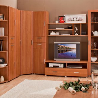 Walnut-colored corner wall in the living room