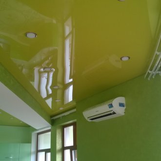 Combined Green Ceiling