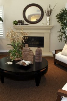 Дневна, украсена с различни живи растения.