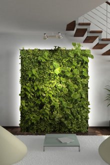 Декоративен панел с живи растения в хола