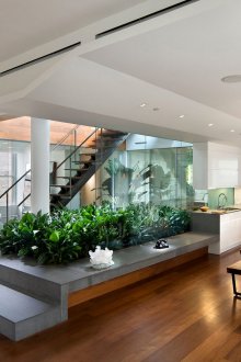 Стайните растения също могат ефективно да разделят пространството на апартамент